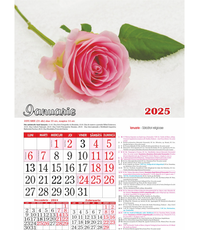 CALENDAR Flori 2025 - CALENDAR CU SPIRA FORMAT A3