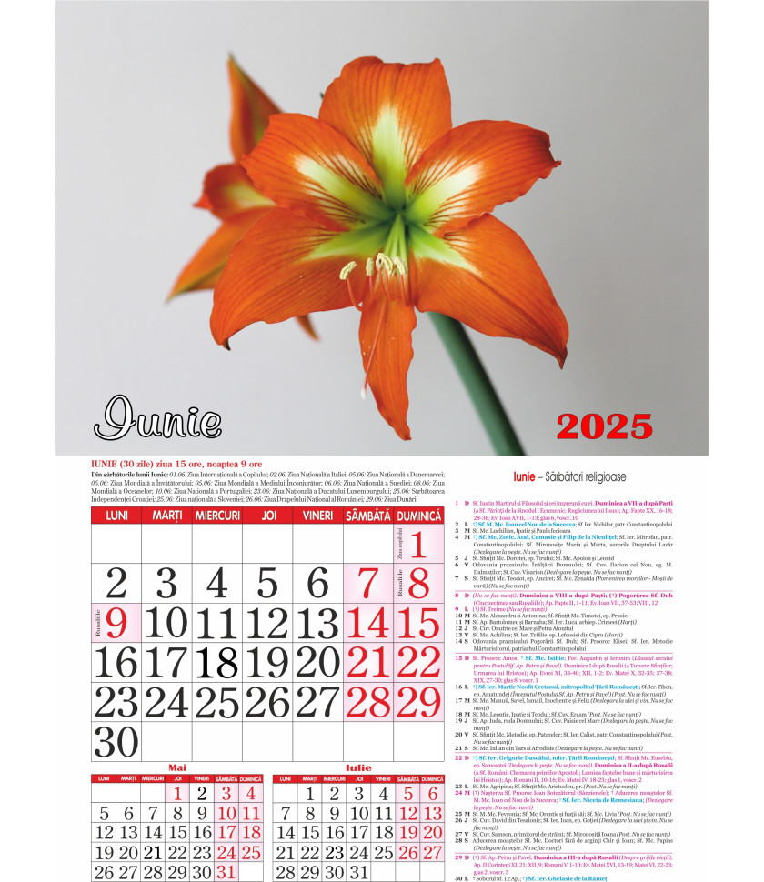 CALENDAR Flori 2025 - CALENDAR CU SPIRA FORMAT A3